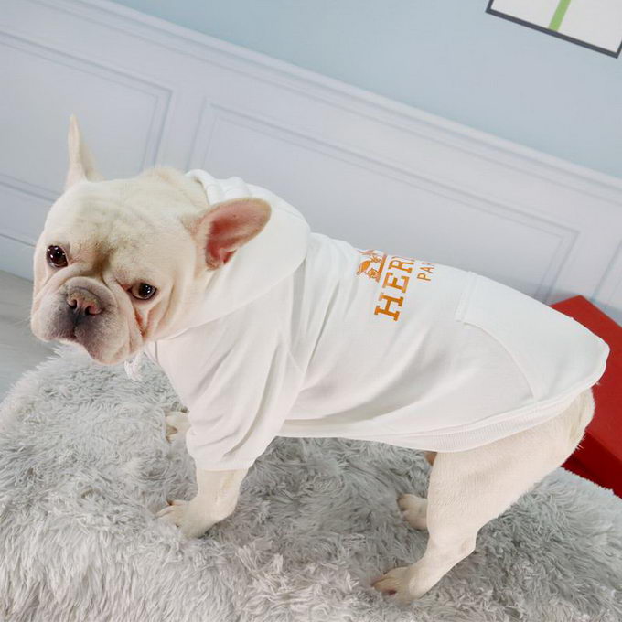 Dog Sweatshirt Mixed Brands ID:20230105-82